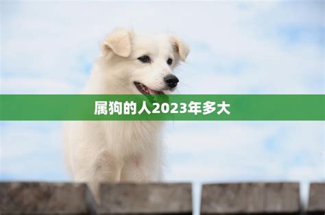 2023屬狗幸運物|属狗的人2023年全年运程运势